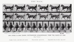 De Galop door Eadweard Muybridge
