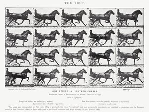 De Trot