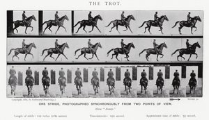 Eadweard Muybridge: De draf door Eadweard Muybridge