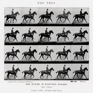 De galop