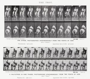 De galop