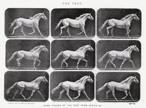 De galop
