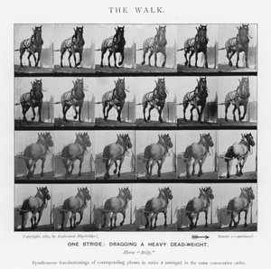 Eadweard Muybridge: De wandeling (zwart-wit foto) door Eadweard Muybridge