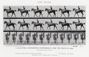 Eadweard Muybridge: De wandeling (zwart-wit foto)
