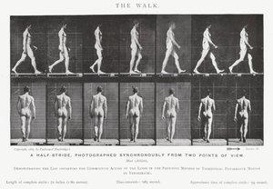 Eadweard Muybridge: De wandeling (zw/w foto) door Eadweard Muybridge