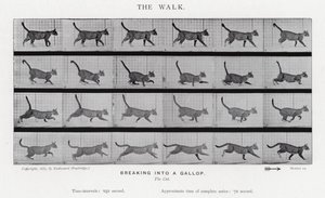De wandeling door Eadweard Muybridge