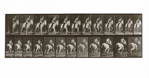 Galopperend paard met ruiter, Plaat 635 uit Animal Locomotion, 1887 door Eadweard Muybridge