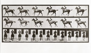 Paard en ruiter, Plaat 621 uit Animal Locomotion, 1887 door Eadweard Muybridge