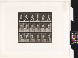 Plaat 10. Wandelen door Eadweard Muybridge