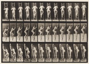 Plaat 112. Ladder Beklimmen door Eadweard Muybridge