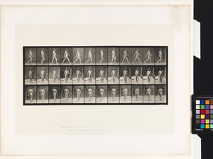 Plaat 11. Lopen door Eadweard Muybridge