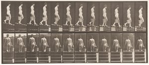 Plaat 120. Helling afdalen, emmer water in rechterhand, 1872-1885 door Eadweard Muybridge