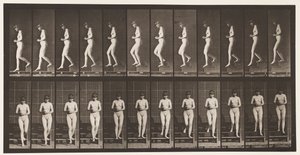 Trap aflopen, handen gevouwen door Eadweard Muybridge