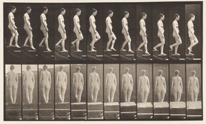 Plaat 129. Trap Afdalen, Handen Gevouwen door Eadweard Muybridge