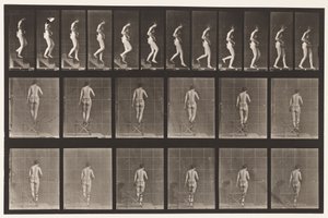 Trap aflopen, handen gevouwen door Eadweard Muybridge