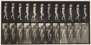 Trap Af Dalen Volle Demijohn op Schouder, 1872-1885 door Eadweard Muybridge