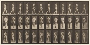 Plaat 14. Wandelen, rechterhand aan kin door Eadweard Muybridge