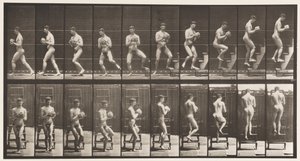 Plaat 151. Trapladder afdalen, omdraaien, steen in handen, 1872-1885 door Eadweard Muybridge