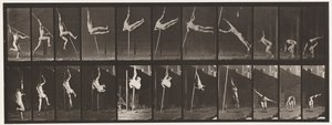 Plaat 164. Springen; polsstokhoogspringen, 1872-1885 door Eadweard Muybridge