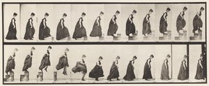 Plaat 173. Trappen oplopen en eraf springen, 1885 door Eadweard Muybridge