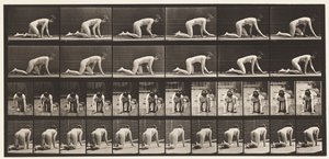 Plaat 182. Kruipen op handen en knieën door Eadweard Muybridge