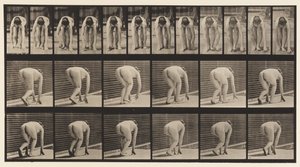 Plaat 184. Op Handen en Voeten Lopen door Eadweard Muybridge