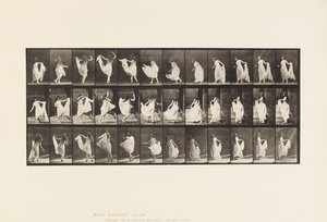 Plaat 193. Dansen (fancy) door Eadweard Muybridge