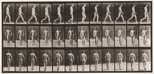 Plaat 1. Wandelen door Eadweard Muybridge