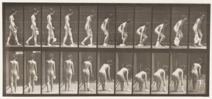 Plaat 202. Een zakdoek laten vallen en oppakken door Eadweard Muybridge