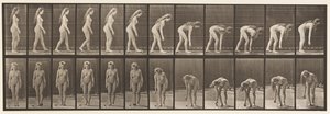 Plaat 204. Stoppen om bal op te pakken door Eadweard Muybridge