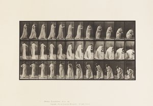 Plaat 205. Dragen en bukken met vaas, 1885 door Eadweard Muybridge