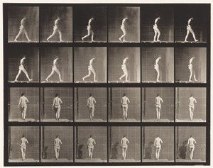 Plaat 20. Wandelen, rechter elleboog gebogen door Eadweard Muybridge