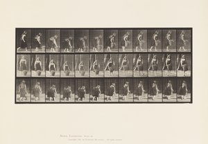 Bukking, Tillen en Dragen van 30 lb Mand, 1885 door Eadweard Muybridge