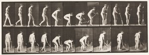 Plaat 219. Bukken en Bezem Optillen en Vegen door Eadweard Muybridge