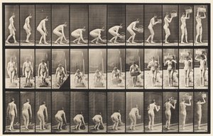 Plaat 221. Bukken en 12 lb Mand naar Hoofd Tillen door Eadweard Muybridge