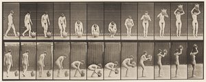 Plaat 224. Bukken en Waterkruik naar Hoofd Tillen door Eadweard Muybridge