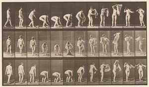 Plaat 227. Doek van de grond tillen, 1872-1885 door Eadweard Muybridge