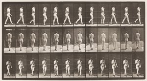 Plaat 23. Wandelen, rechterhand aan kin, hoge hakken aan door Eadweard Muybridge