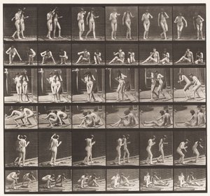 Plaat 245. Twee modellen die op de grond zitten en draaien door Eadweard Muybridge