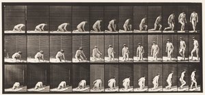 Plaat 255. Opstaan van Knielen en Draaien door Eadweard Muybridge