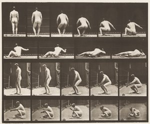 Liggend op de grond door Eadweard Muybridge