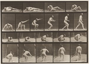 Plaat 258. Opstaan van de grond en weglopen door Eadweard Muybridge