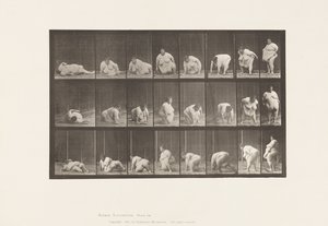 Opstaan van de Grond, 1885 door Eadweard Muybridge