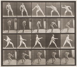Plaat 273. Honkbal; gooien door Eadweard Muybridge