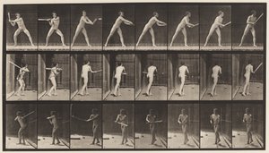 Plaat 277. Honkbal; Slaan door Eadweard Muybridge