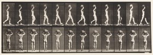 Plaat 27. Wandelen, 70 lb. steen op hoofd dragen, handen omhoog door Eadweard Muybridge