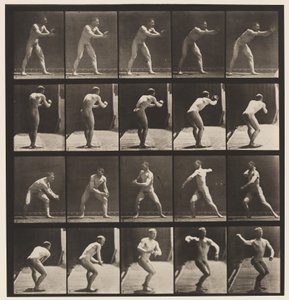 Plaat 282. Honkbal; Vangen en gooien, 1885 door Eadweard Muybridge
