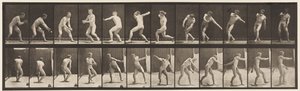 Honkbal; vangen en gooien door Eadweard Muybridge
