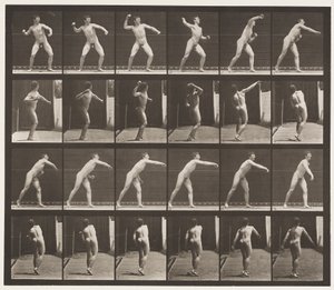 Plaat 286. Honkbal; Gooien door Eadweard Muybridge