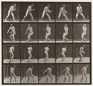 Plaat 288. Honkbal; Fout door Eadweard Muybridge